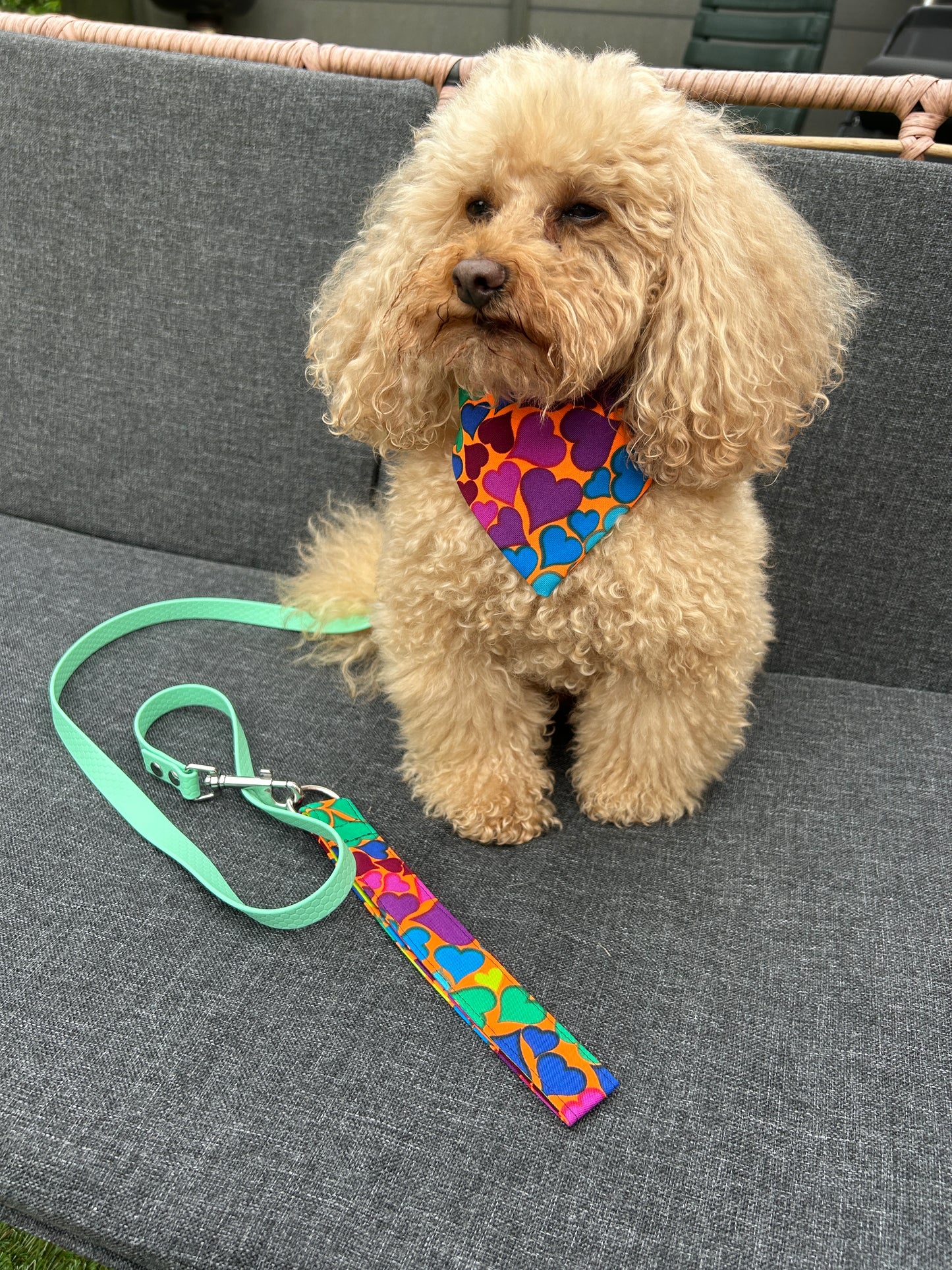 Bandana