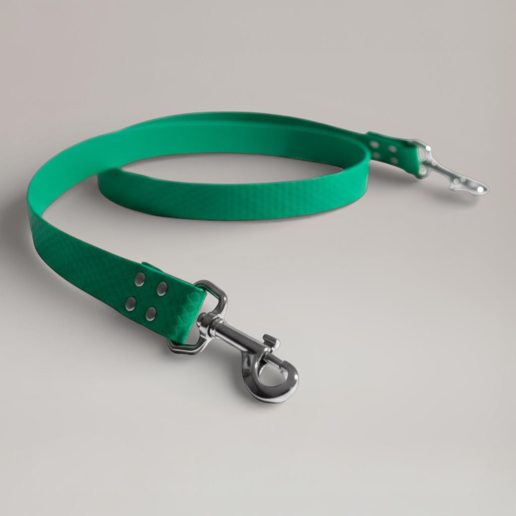 Laisse interchangeable