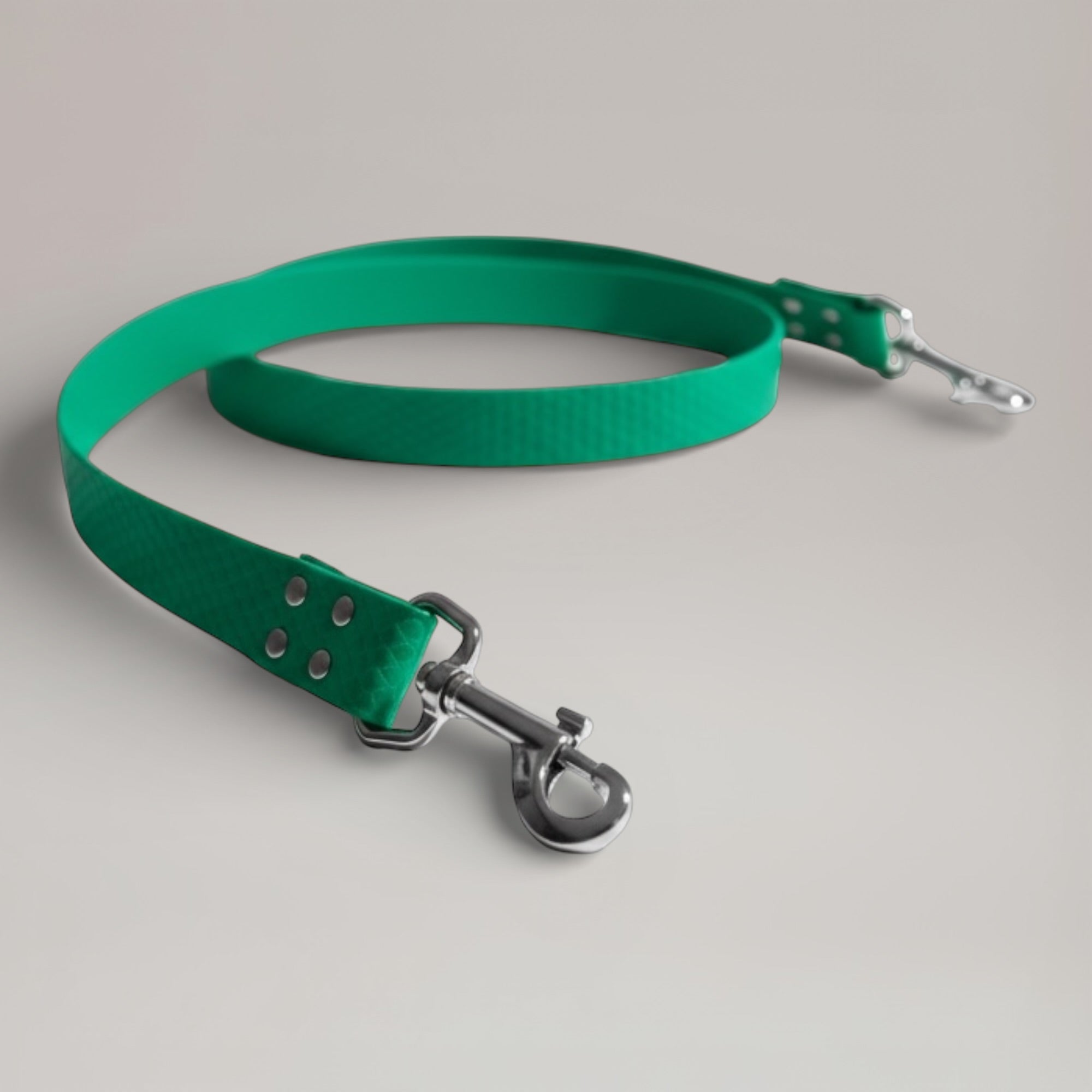 Laisse interchangeable