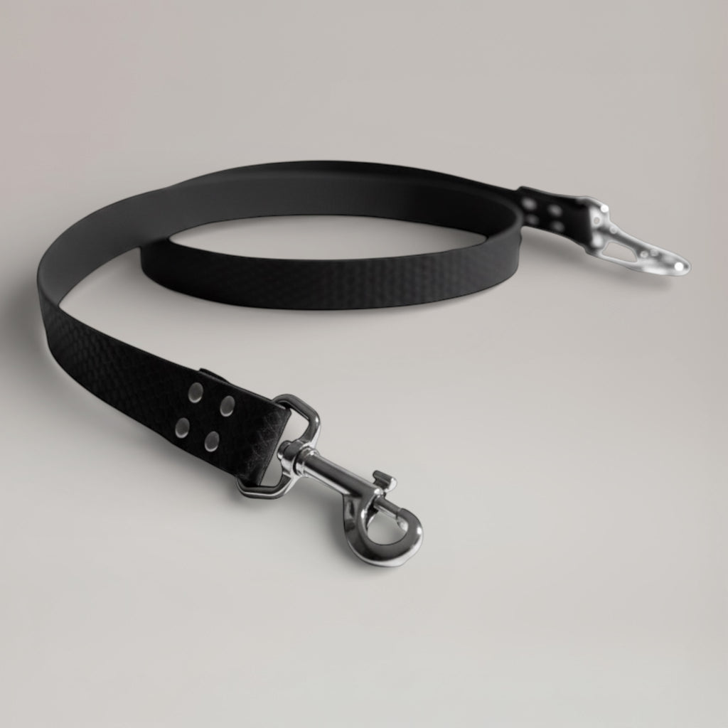 Laisse interchangeable