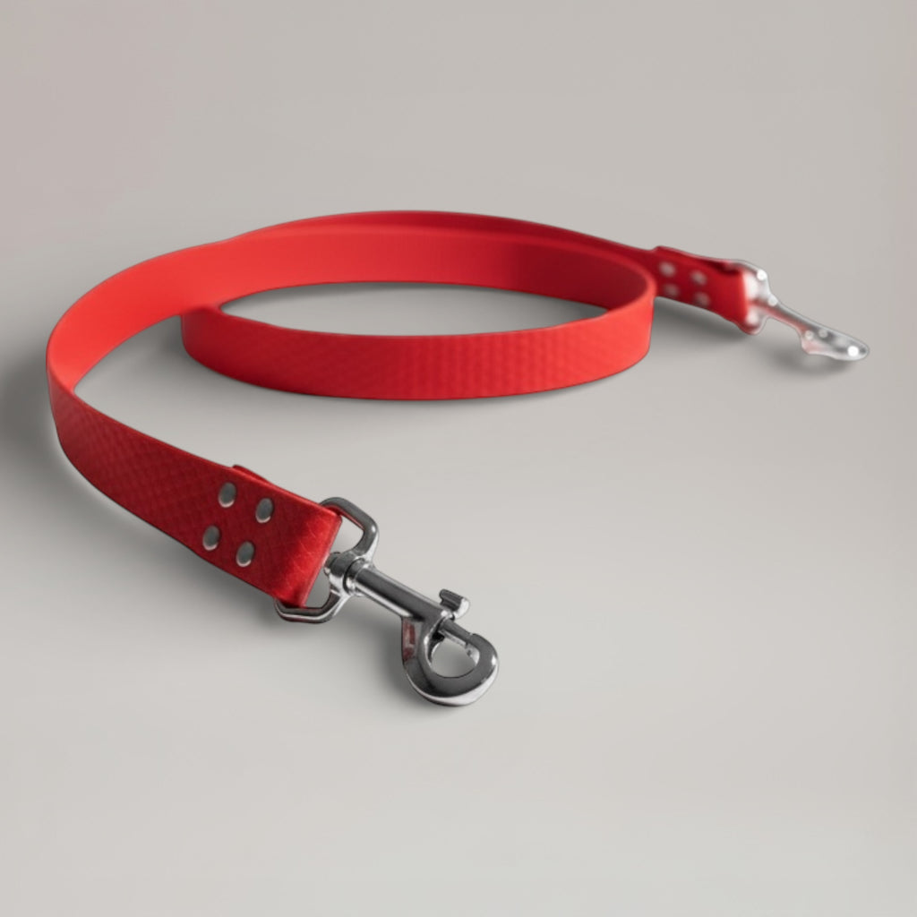 Laisse interchangeable