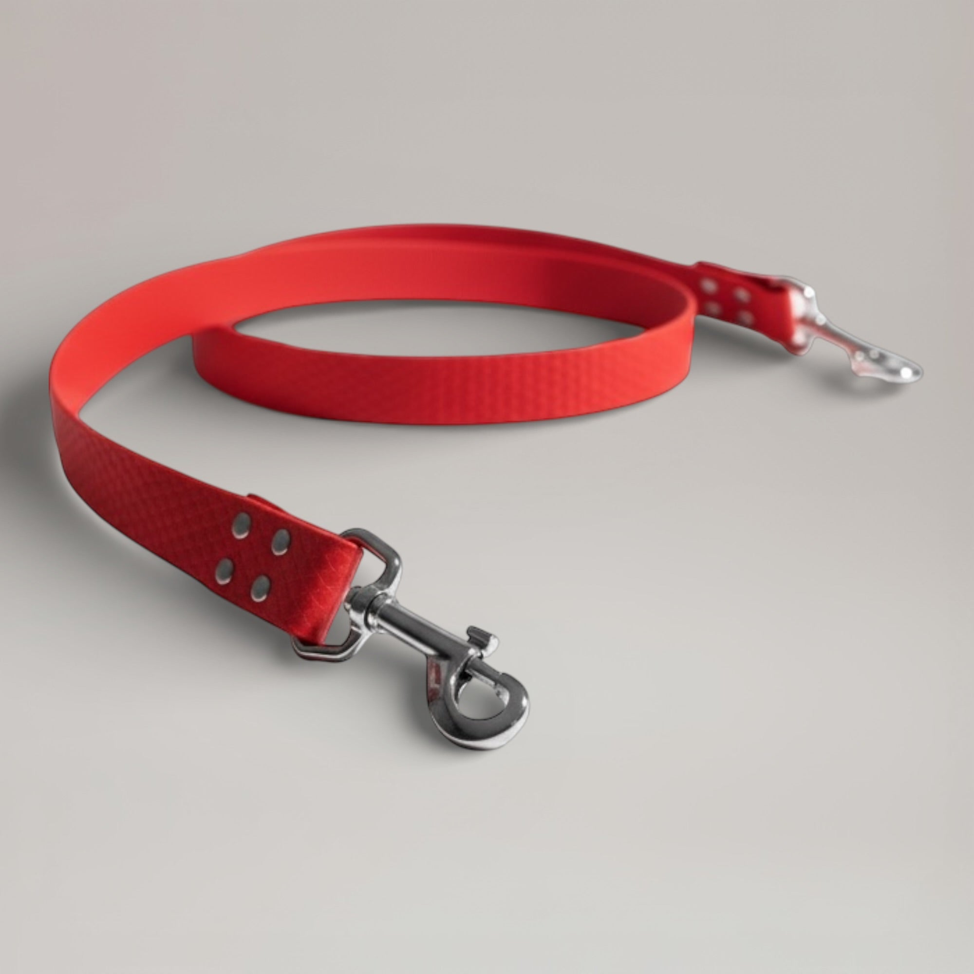 Laisse interchangeable