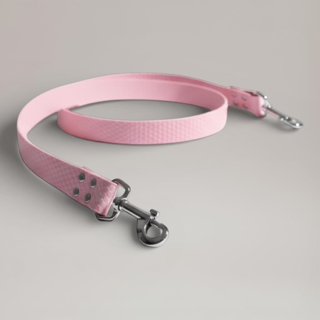 Laisse interchangeable