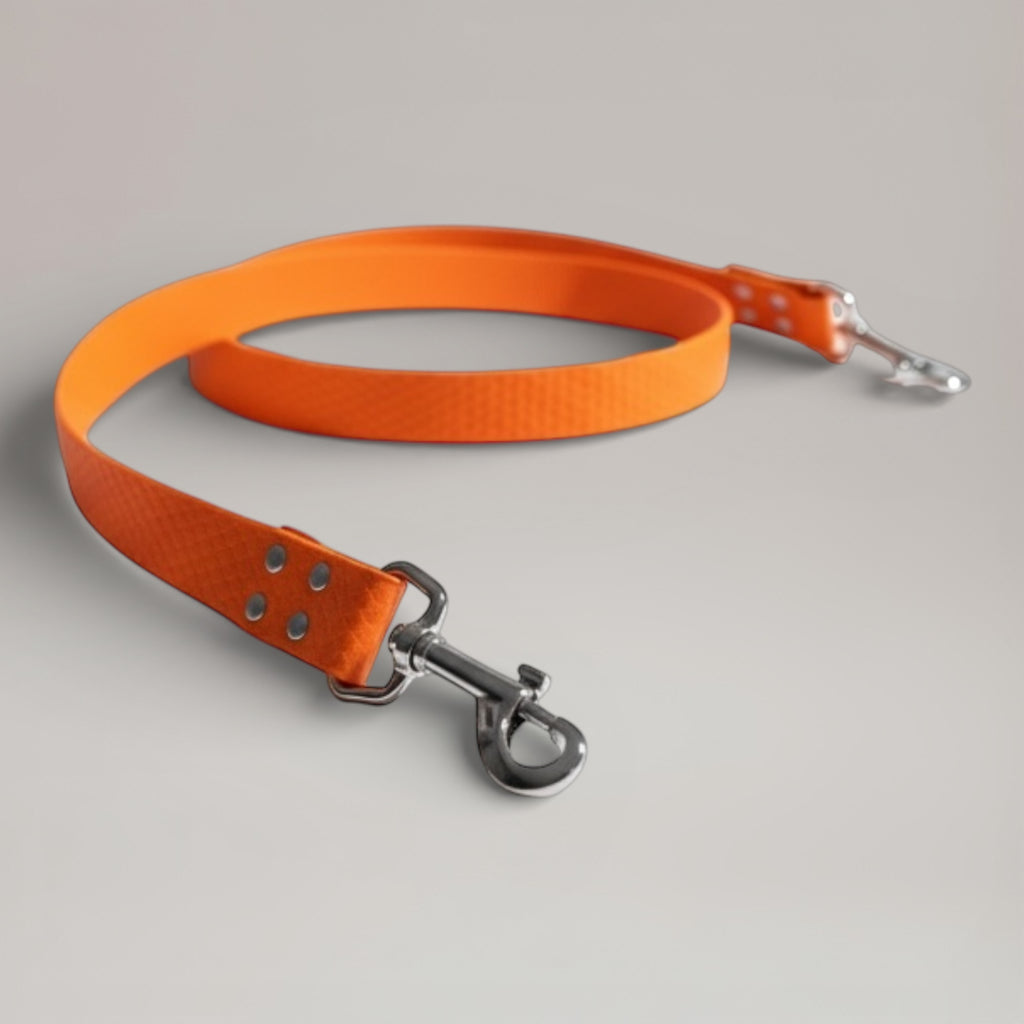 Laisse interchangeable