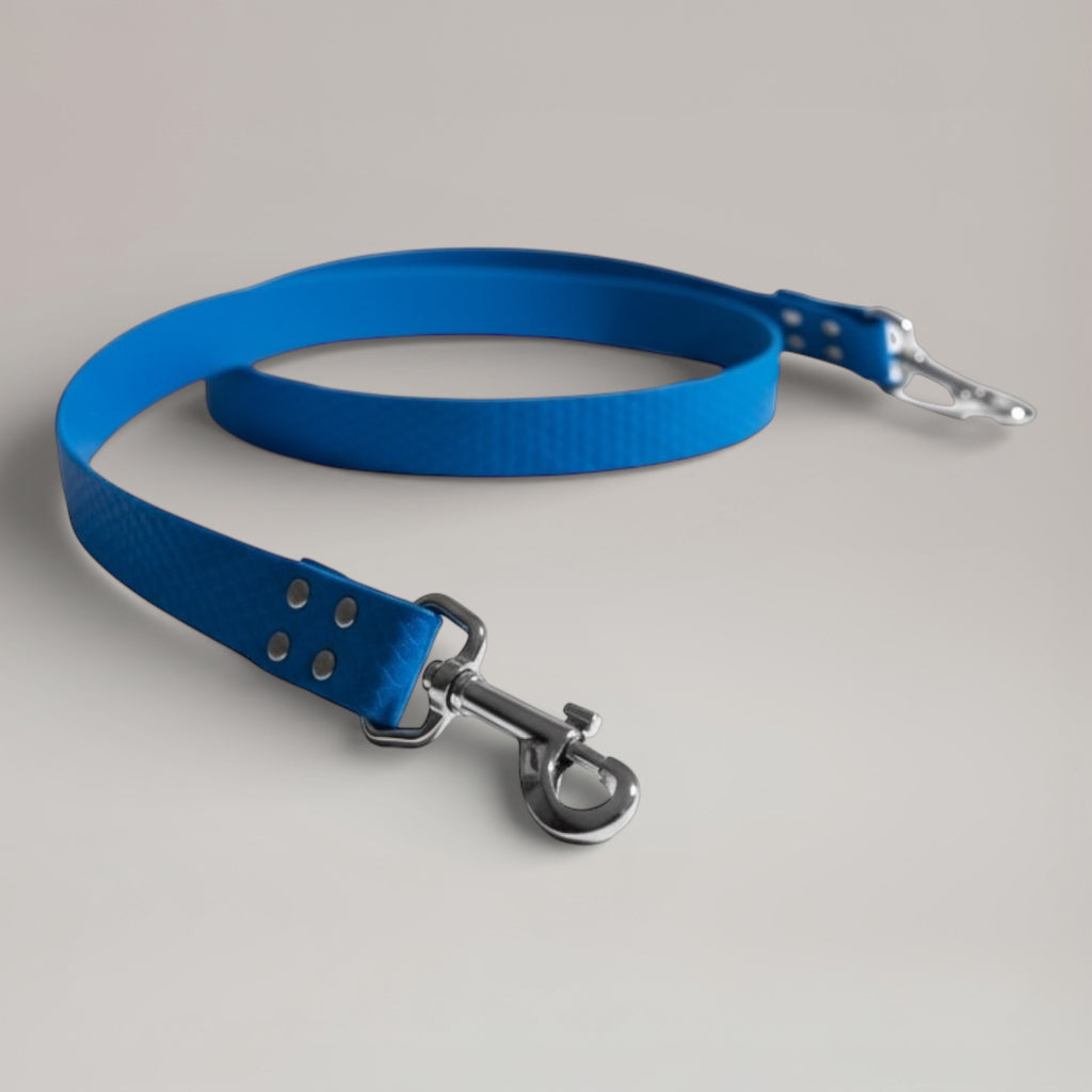 Laisse interchangeable