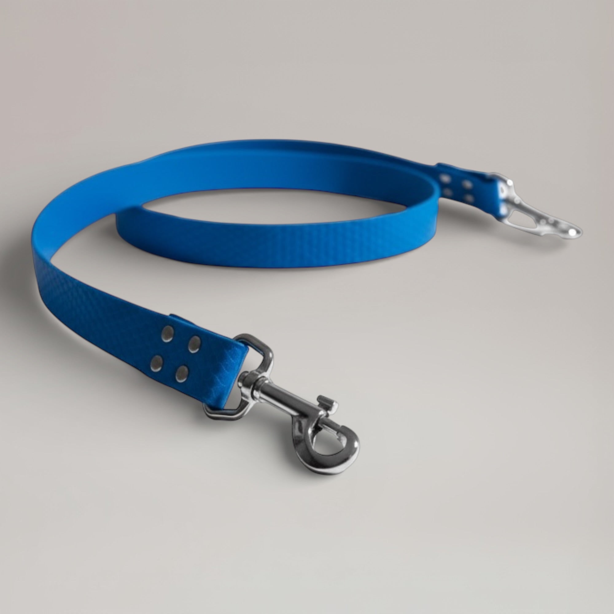 Laisse interchangeable