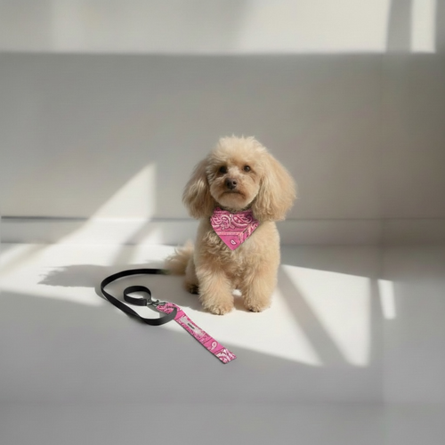 Anse de laisse Rose Bandana