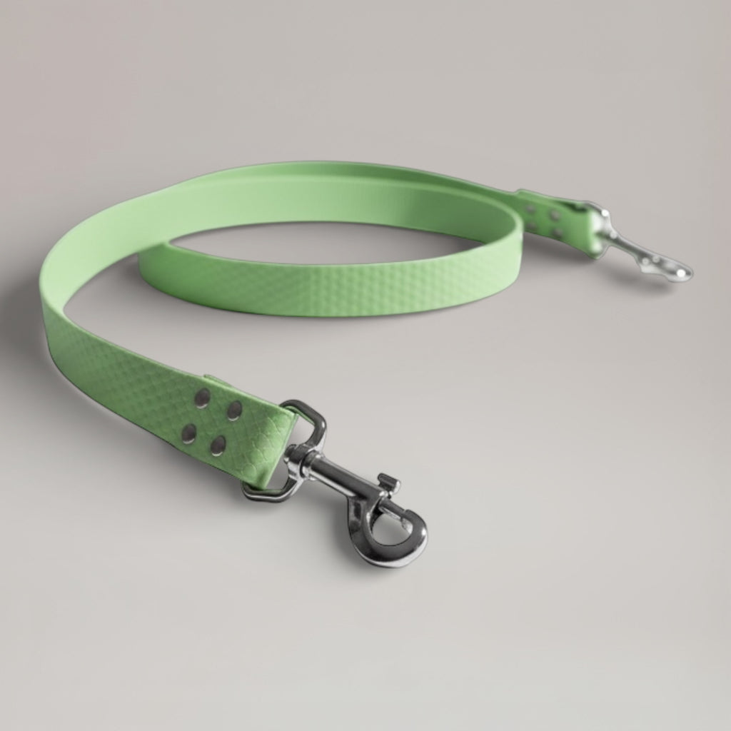 Laisse interchangeable