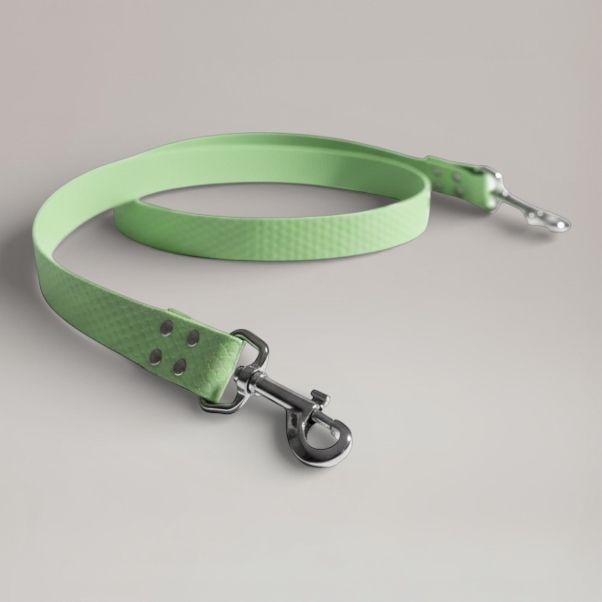 Laisse interchangeable