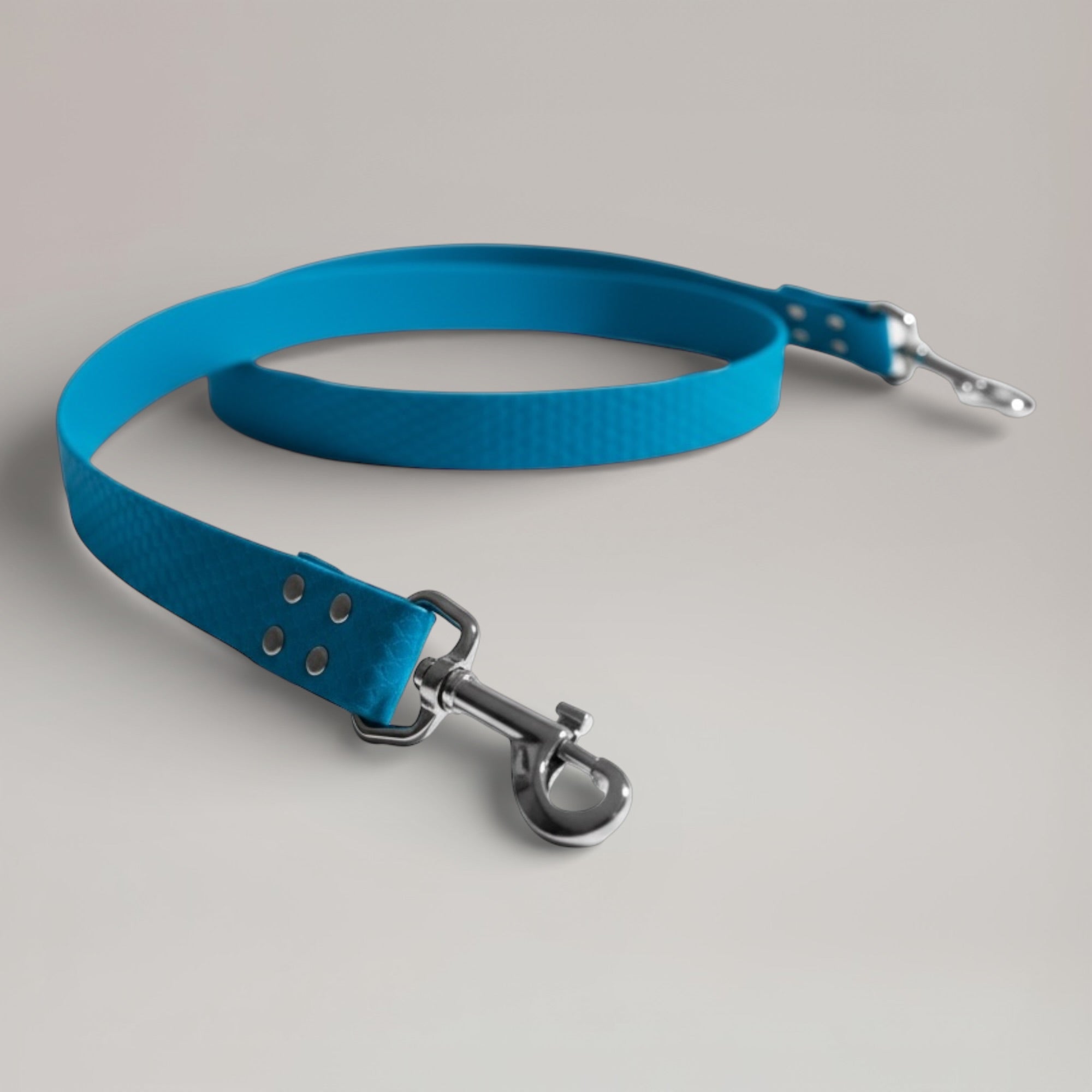 Laisse interchangeable