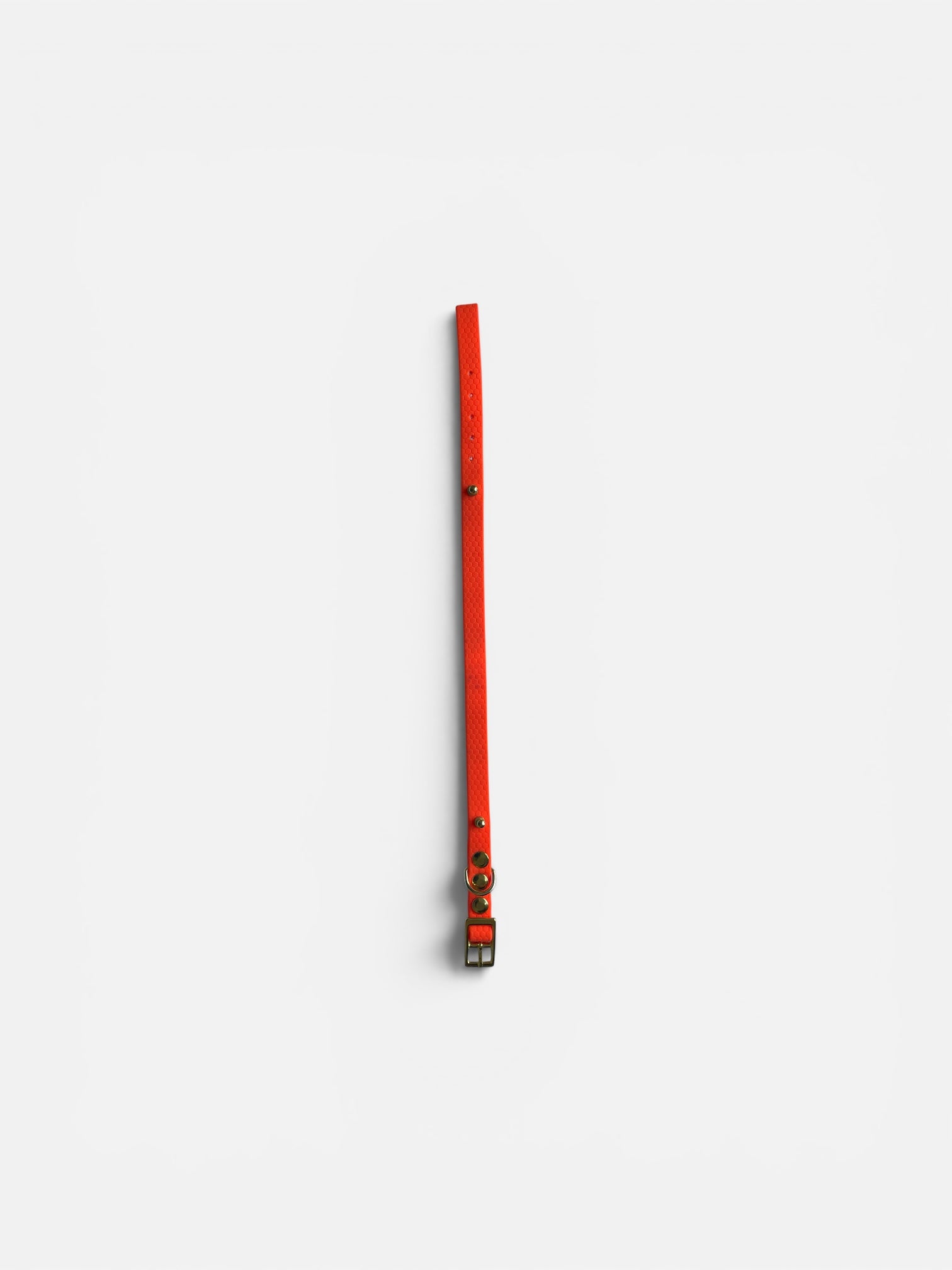 Collier de base pour décoration interchangeable