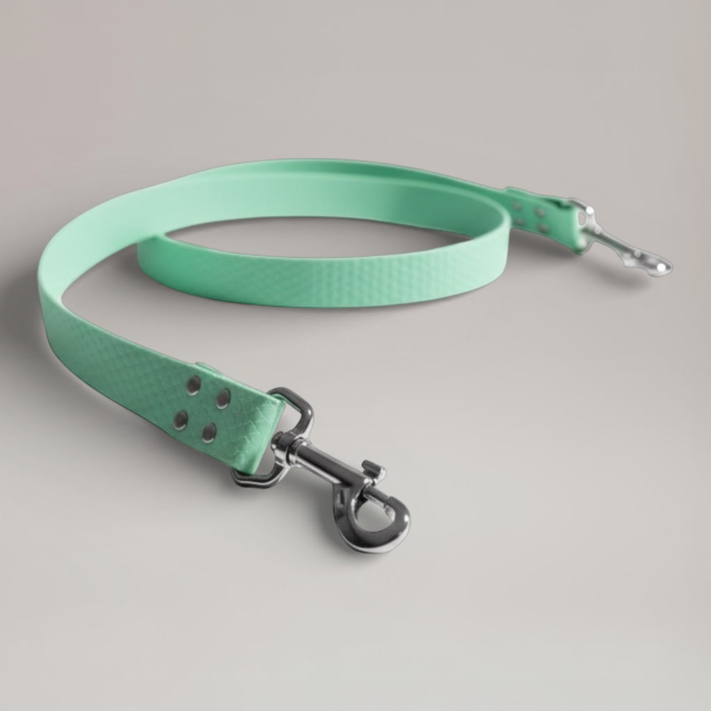 Laisse interchangeable