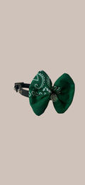 Noeud Papillon BDN VERT