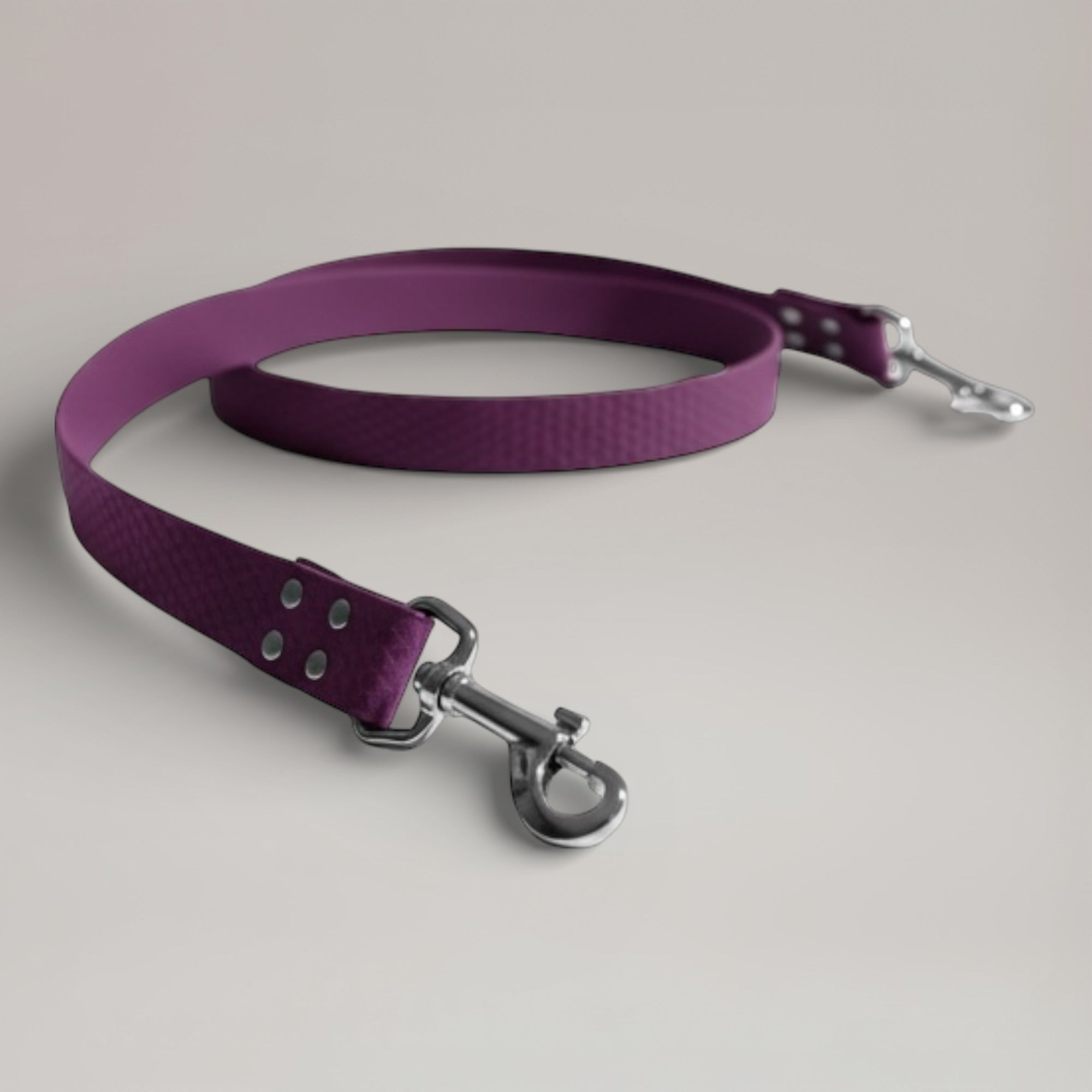 Laisse interchangeable