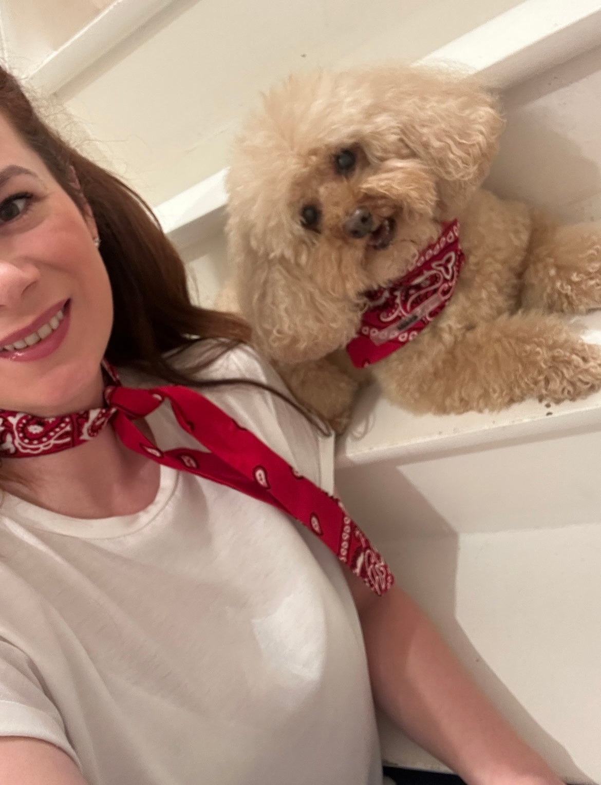 Le foulard multi-usage femme & chien