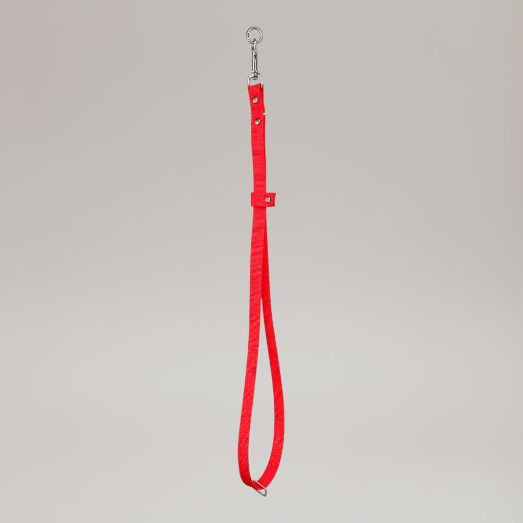 Sangle de toilettage avant taille S