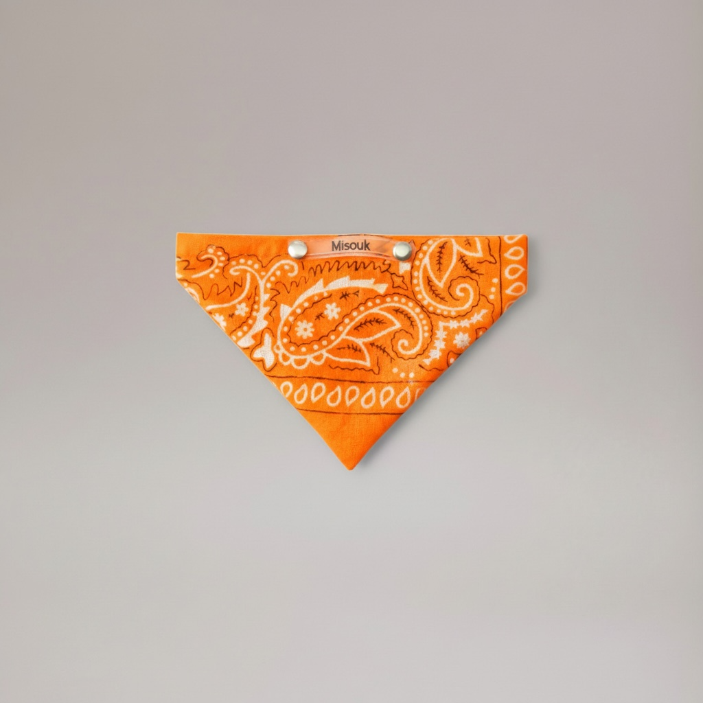 Interchangeable pour collier MISOUK